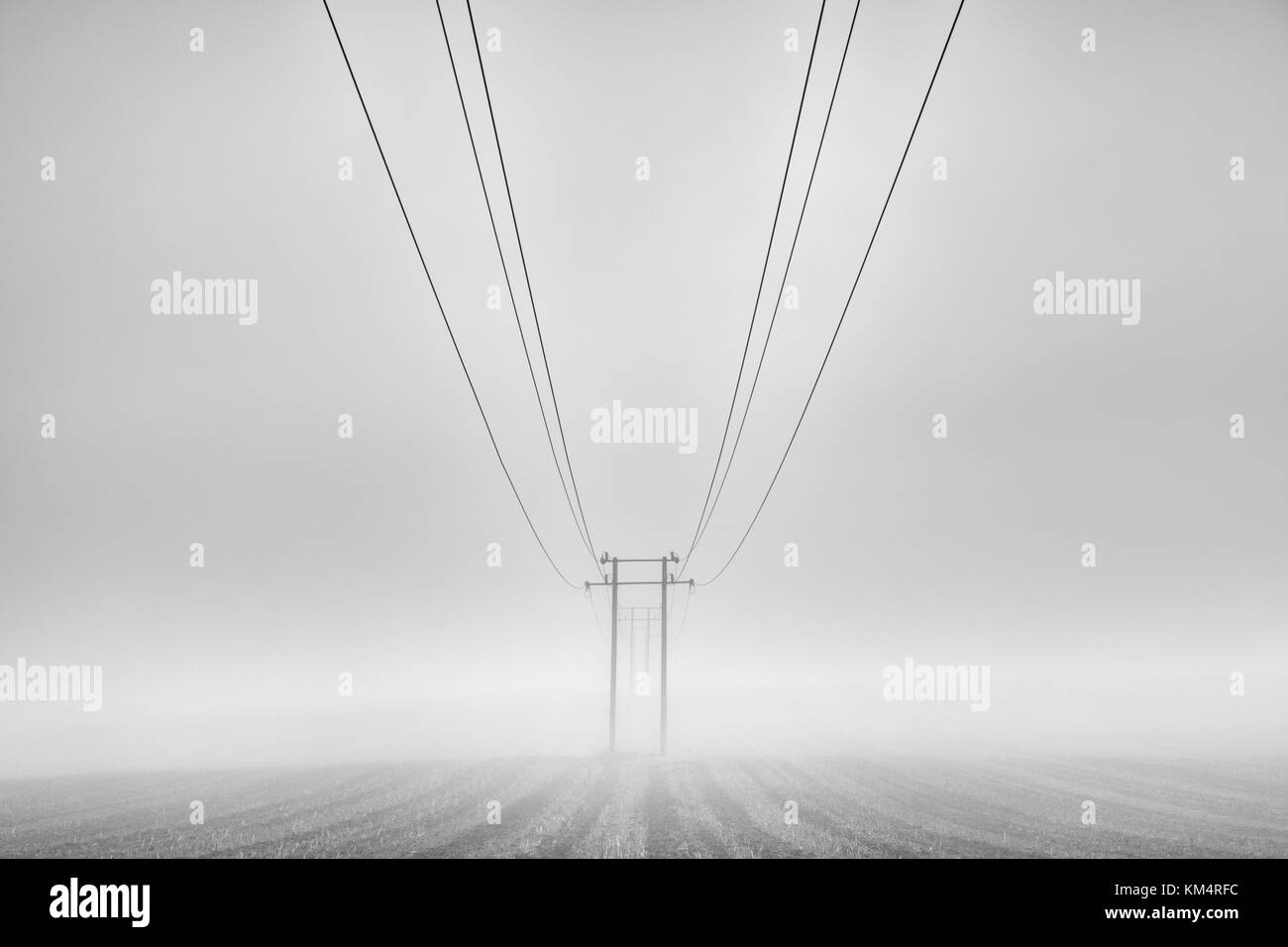 Simmetrici i fili del telefono su nebbia Foto Stock