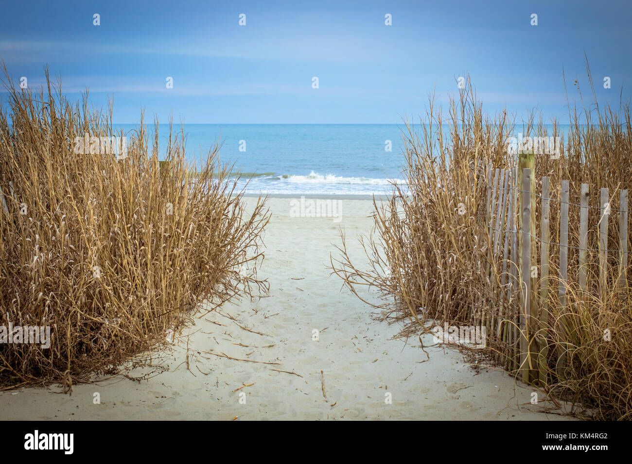 Percorso per la spiaggia sabbiosa. sentiero attraverso dune erba conduce alle ampie spiagge di sabbia della costa della carolina in Myrtle Beach, Carolina del Sud, Stati Uniti d'America. Foto Stock
