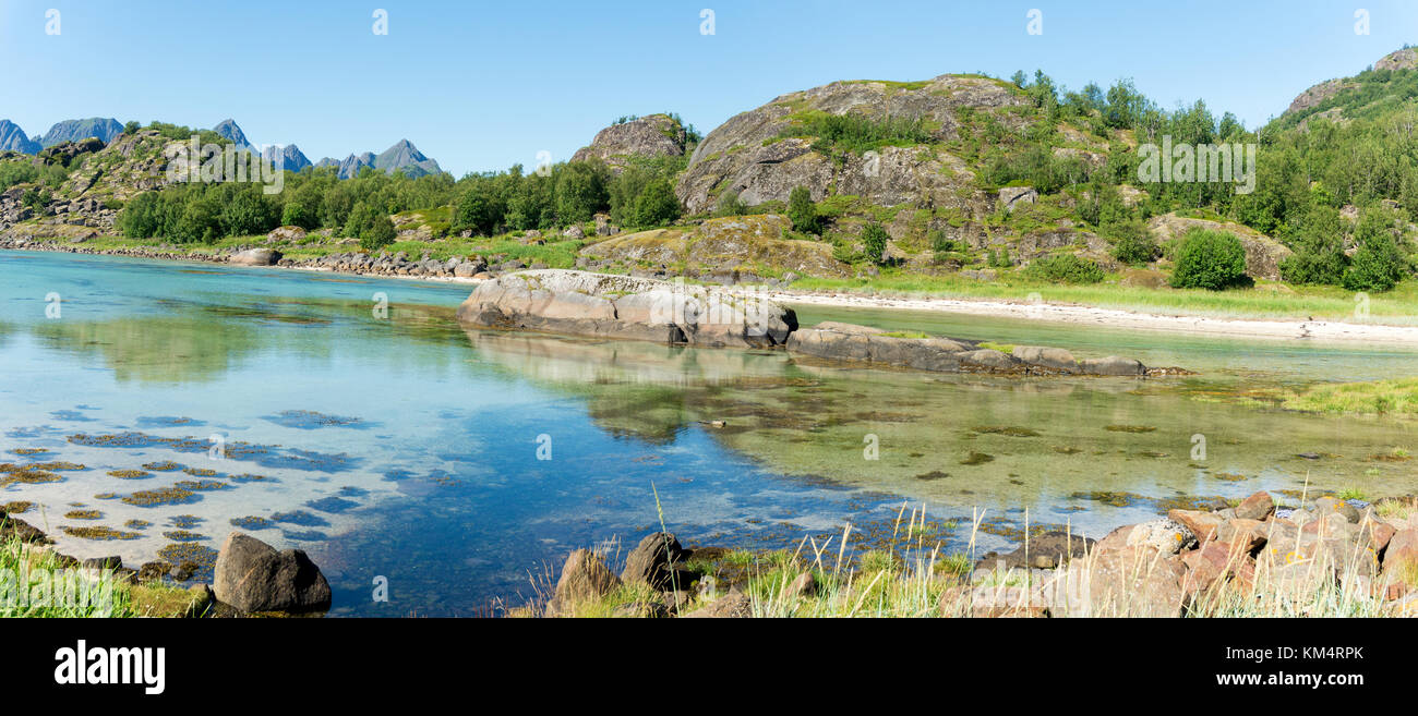 Le acque turchesi della baia, le pietre e la verde erba in estate, arcipelago delle Lofoten, Norvegia Foto Stock
