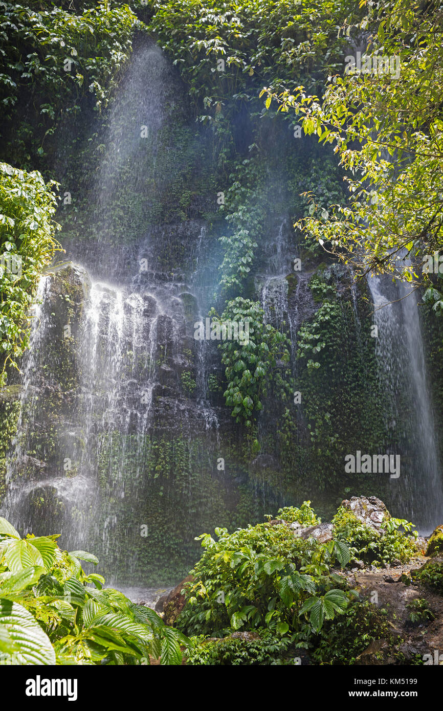 Benang kelambu cascata nella foresta tropicale vicino al villaggio di aik berik, nord batukliang, central lombok, INDONESIA Foto Stock