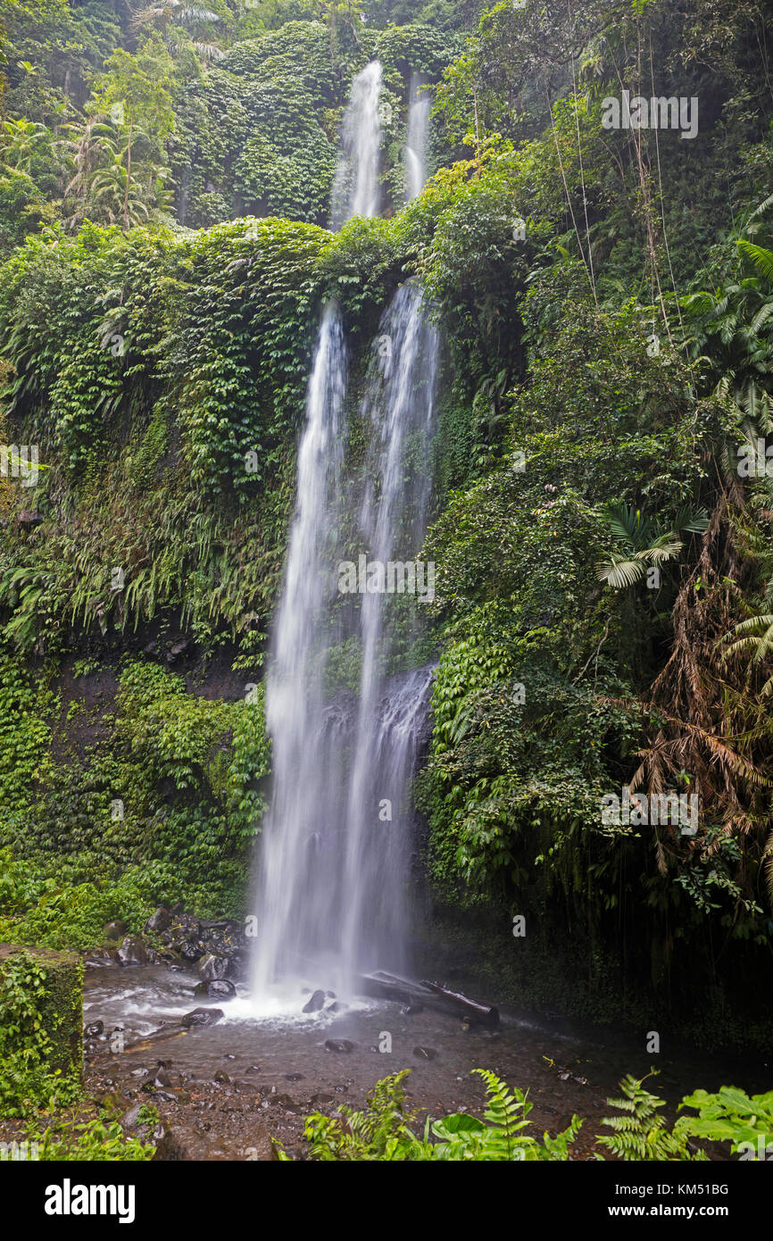 Air Terjun Sendang Gile cascata vicino Senaru nella foresta pluviale tropicale sulle pendici del vulcano Rinjani, Lombok centrale, Indonesia Foto Stock