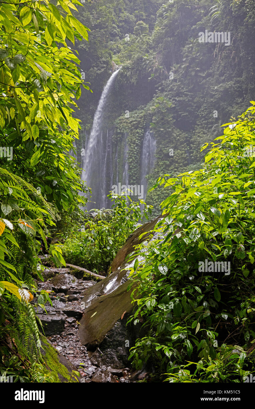 Air terjun tiu kelep cascata vicino a senaru nella foresta pluviale tropicale sulle pendici del vulcano rinjani, central lombok, INDONESIA Foto Stock