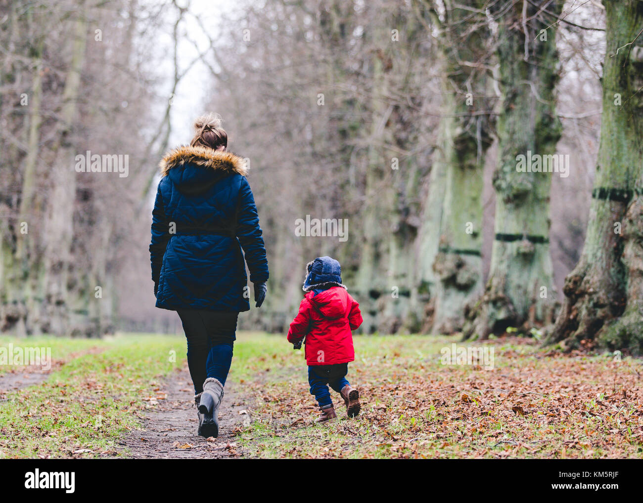 La madre e il figlio a piedi nei boschi a Clumber Park, Worksop, Nottinghamshire, Regno Unito Foto Stock