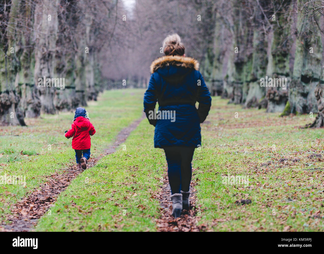 La madre e il figlio a piedi nei boschi a Clumber Park, Worksop, Nottinghamshire, Regno Unito Foto Stock