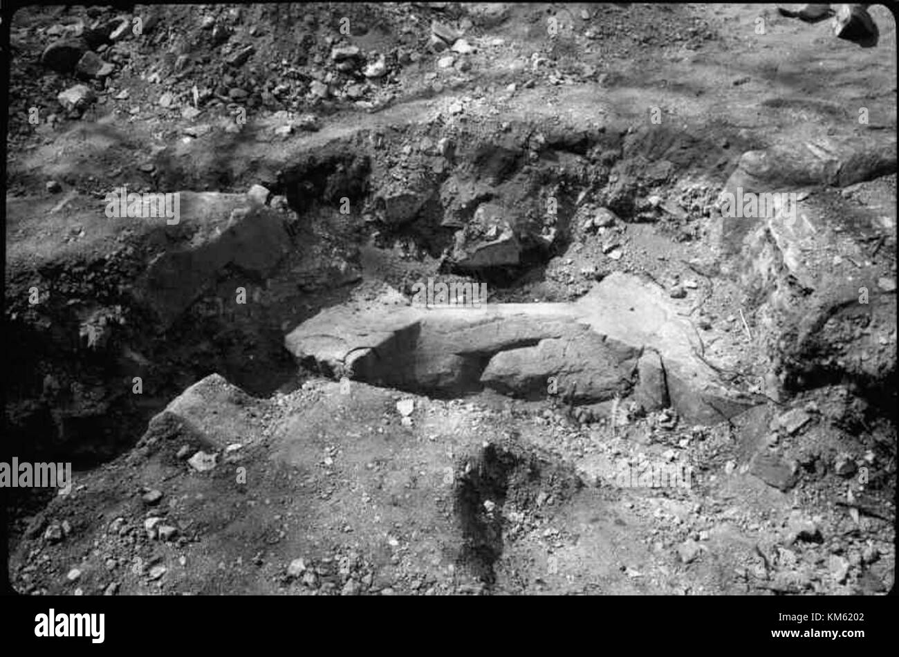 Le rovine dell'abbazia di Nydala, situate in Svezia, sono un sito storico significativo, elencato nel Swedish Cultural Heritage database (KMB), noto per la sua importanza religiosa e architettonica. Foto Stock