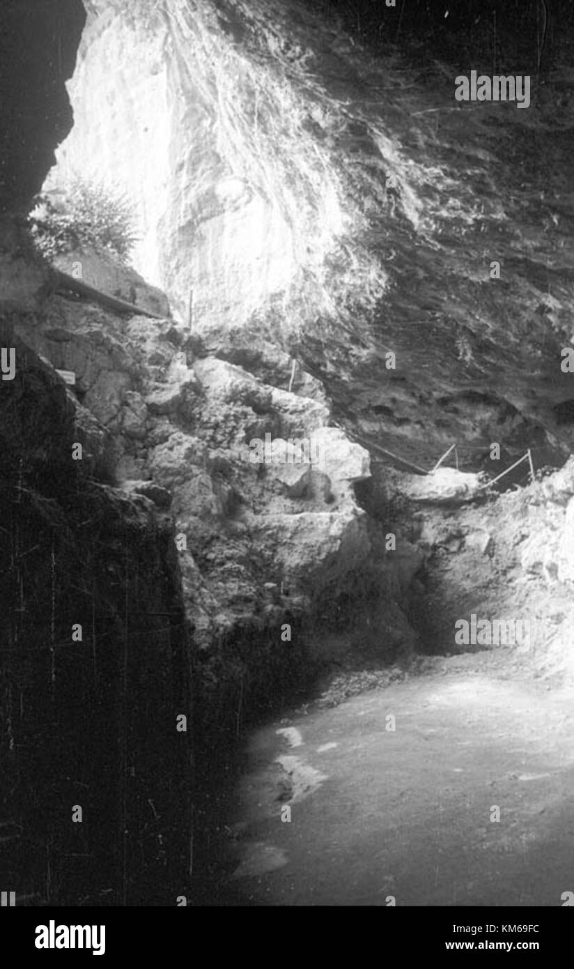 Laugerie basse è un sito archeologico situato nella regione francese della Dordogna. Il sito è noto per il suo significato preistorico, con le prove della prima abitazione umana, tra cui pitture rupestri e strumenti. Il sito contribuisce alla comprensione della vita paleolitica ed è importante per i ricercatori che studiano la prima cultura umana e l'archeologia. Foto Stock