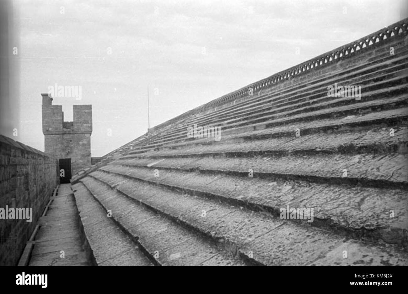 Saintes Maries de la Mer è una piccola città nel sud della Francia, situata nella regione della Camargue. È conosciuta per la sua importanza storica e culturale, in particolare come luogo di pellegrinaggio. La città è circondata da bellezze naturali, tra cui le zone umide e il Mar Mediterraneo, rendendola una destinazione popolare per i turisti e gli amanti della natura. Foto Stock