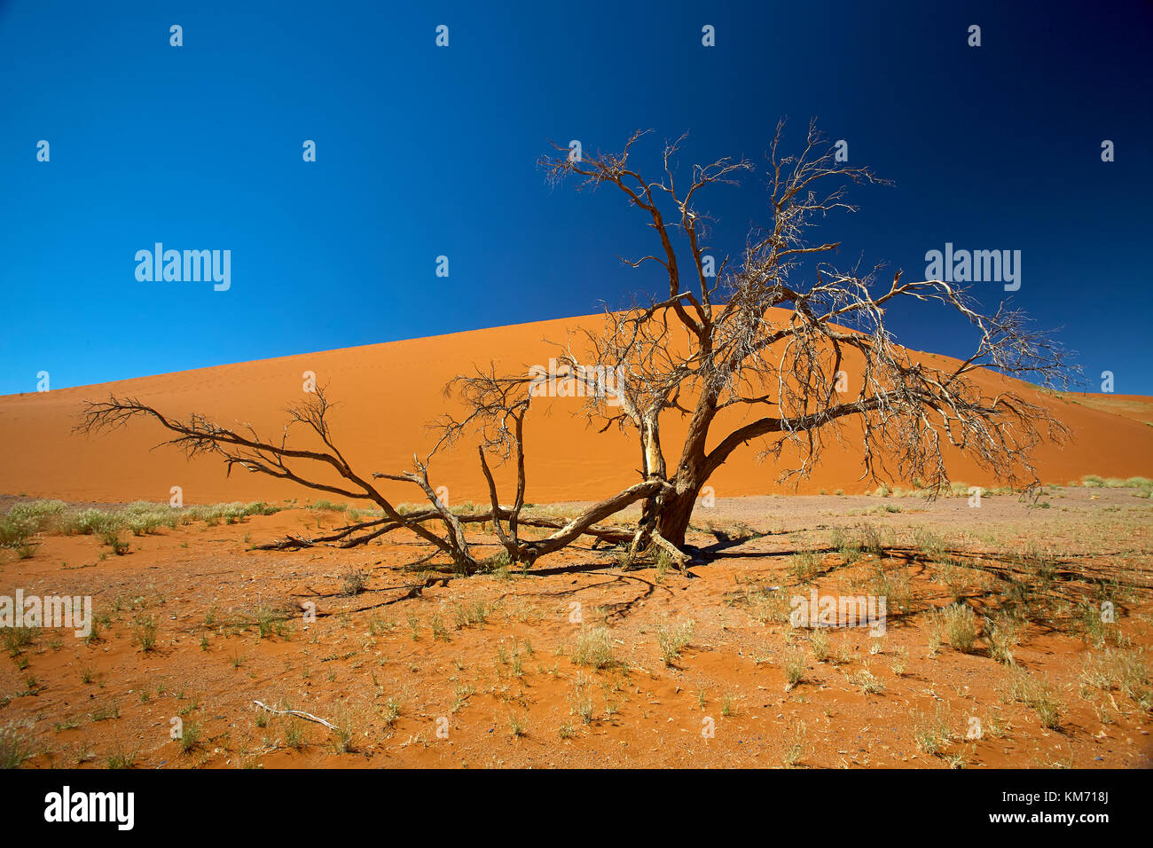 Deserto Namibiano siti Foto Stock