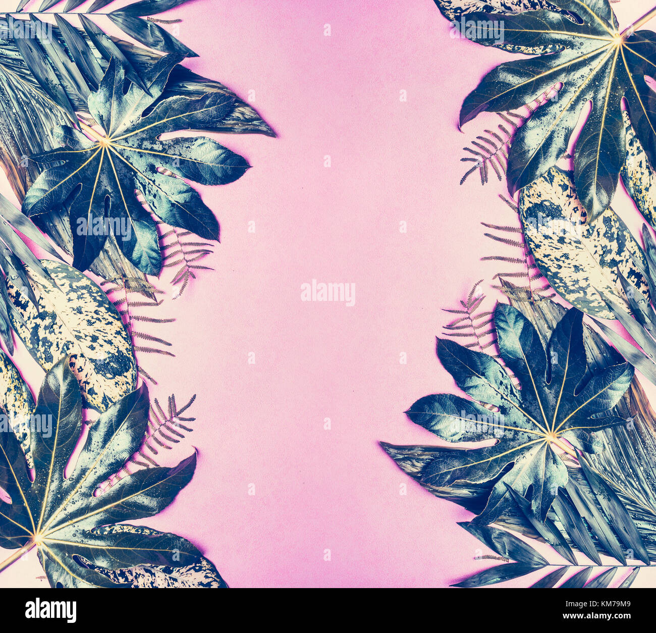 Tropicale, lascia il telaio sul rosa pastello, sfondo vista superiore Foto Stock