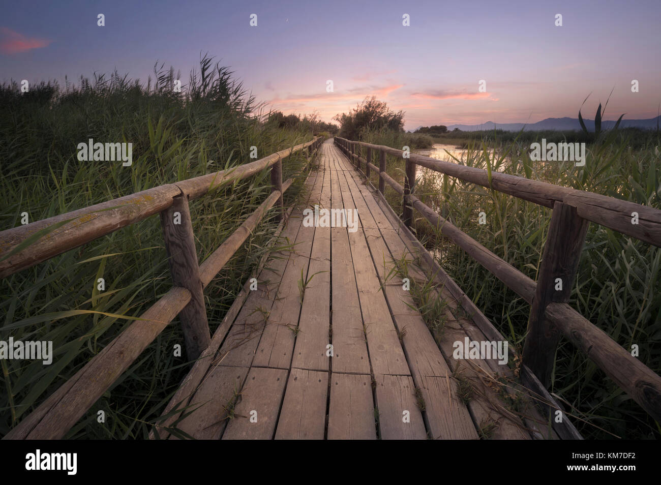 Arte della fotografia di un percorso di legno al tramonto in una palude nella provincia di Alicante, Spagna. Foto Stock