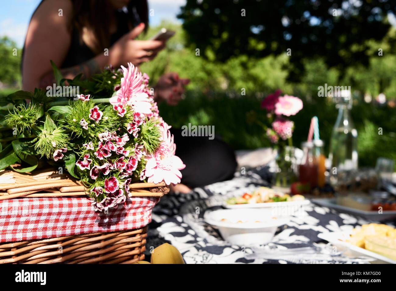 Regno Unito, London, Hampstead Heath Park, irriconoscibile ragazza utilizzando lo smartphone, amici picnic al parco Foto Stock