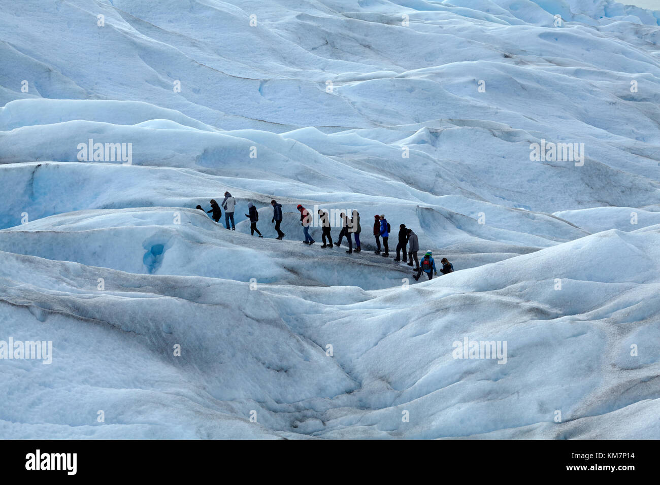 Gli escursionisti sul ghiacciaio Perito Moreno, Parque Nacional Los Glaciares (area del patrimonio mondiale), Patagonia, Argentina, Sud America Foto Stock