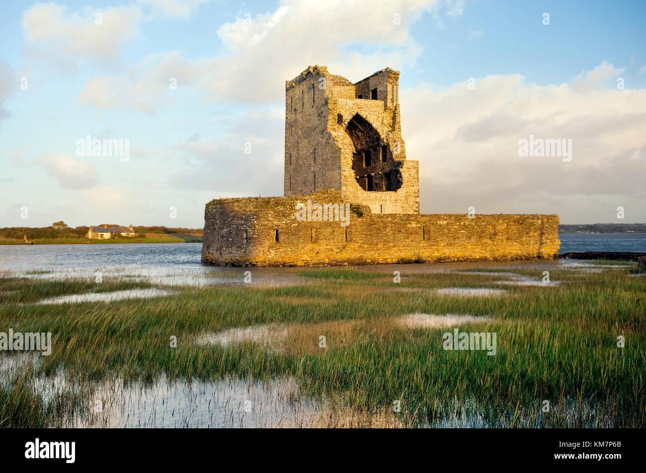 15thC. Castello di Carrigafoyle vicino a Ballylongford, Co Kerry, Irlanda. Sulla riva sud dell'estuario del fiume Shannon Foto Stock
