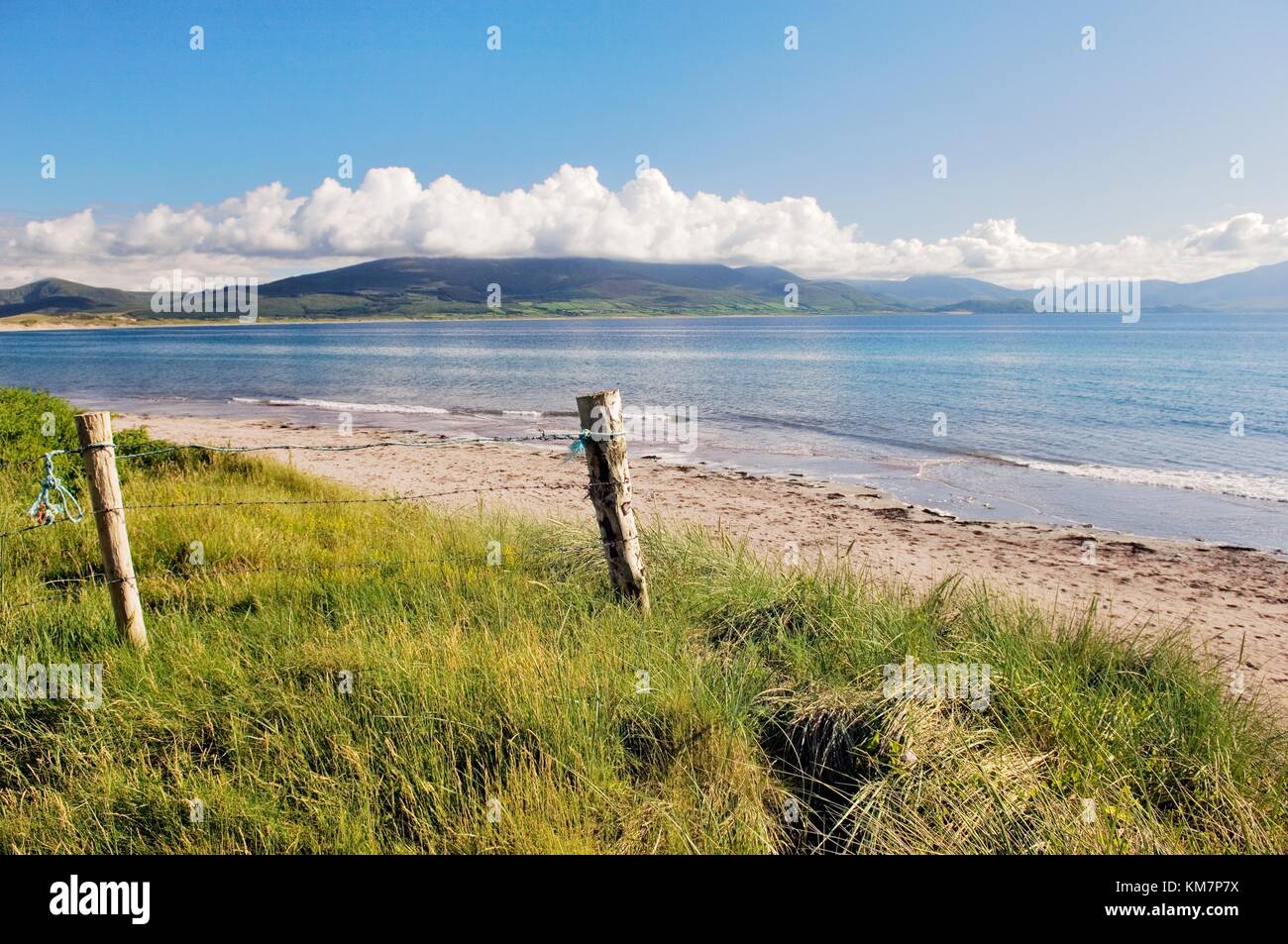 Spiaggia sulla baia di Brandon corre più miglia da Fahamore a Kilcummin. Visto vicino a Castlegregory, penisola di Dingle, Co. Kerry Irlanda Foto Stock