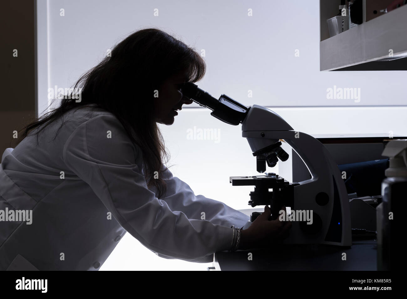Donna scienziato stagliano usando microscopio Foto Stock
