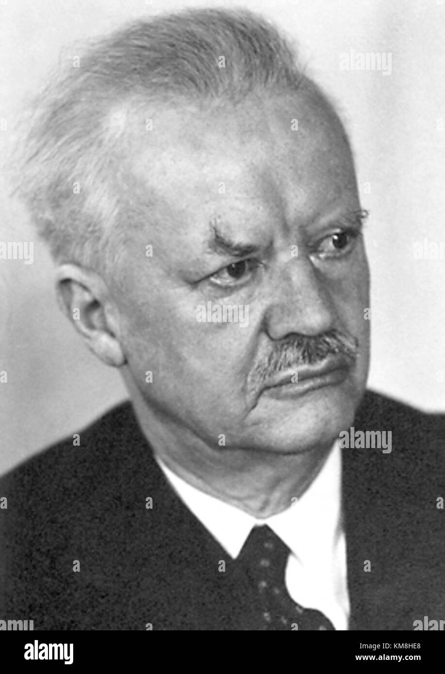 Hans Spemann, un biologo tedesco, è stato insignito del Premio Nobel per la Fisiologia o Medicina nel 1935 per le sue scoperte nella biologia dello sviluppo, in particolare per quanto riguarda i meccanismi di sviluppo embrionale. Il suo lavoro ha gettato le basi per la moderna comprensione dei processi di sviluppo. Foto Stock Hans Spemann, un biologo tedesco, è stato insignito del Premio Nobel per la Fisiologia o Medicina nel 1935 per le sue scoperte nella biologia dello sviluppo, in particolare per quanto riguarda i meccanismi di sviluppo embrionale. Il suo lavoro ha gettato le basi per la moderna comprensione dei processi di sviluppo. Foto Stock
