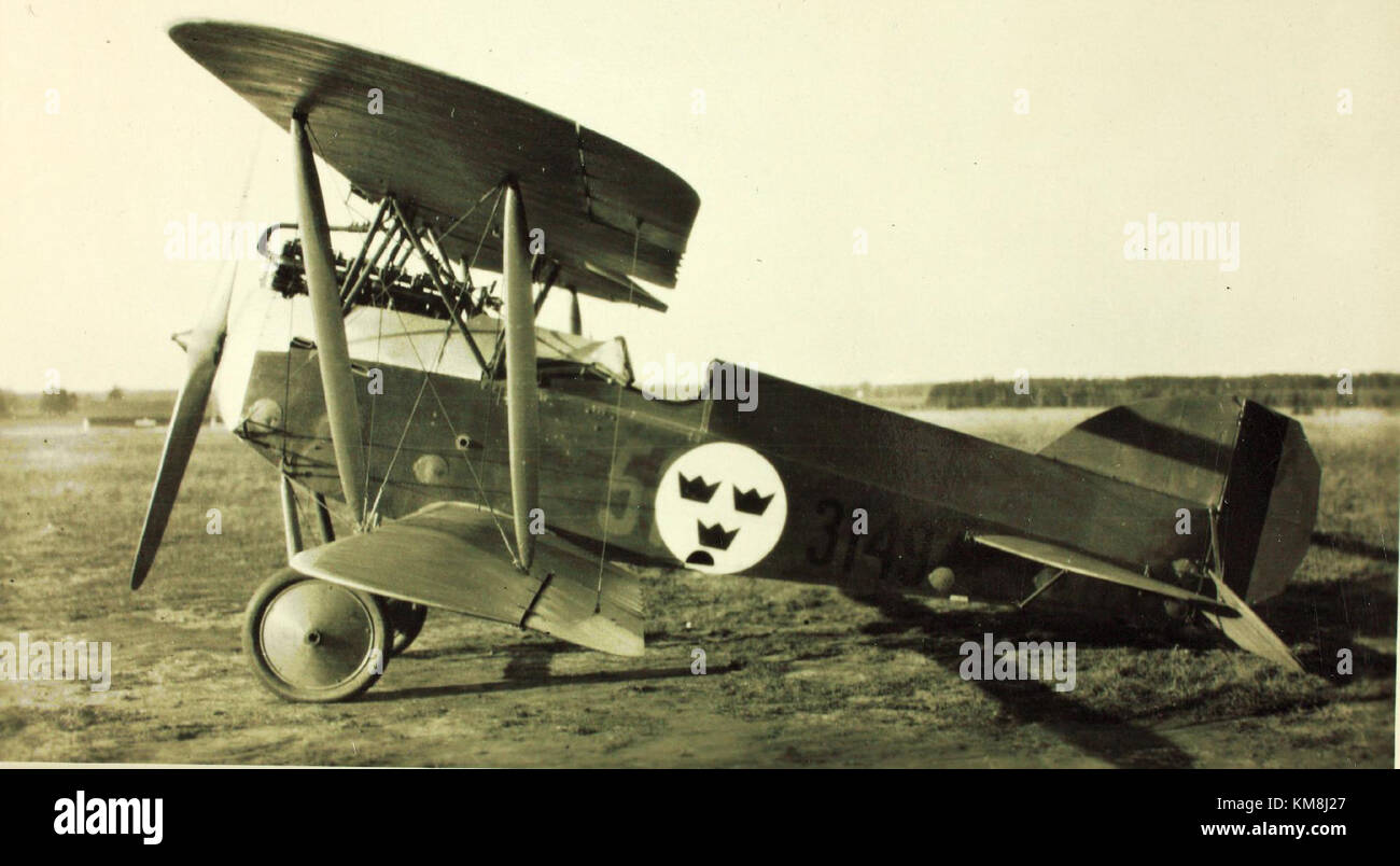 Il Phonix D III era un aereo da caccia biplano tedesco utilizzato durante la prima guerra mondiale, noto per la sua durata e le sue prestazioni in combattimento aereo. Ha svolto un ruolo significativo nelle battaglie aeree del conflitto. Foto Stock