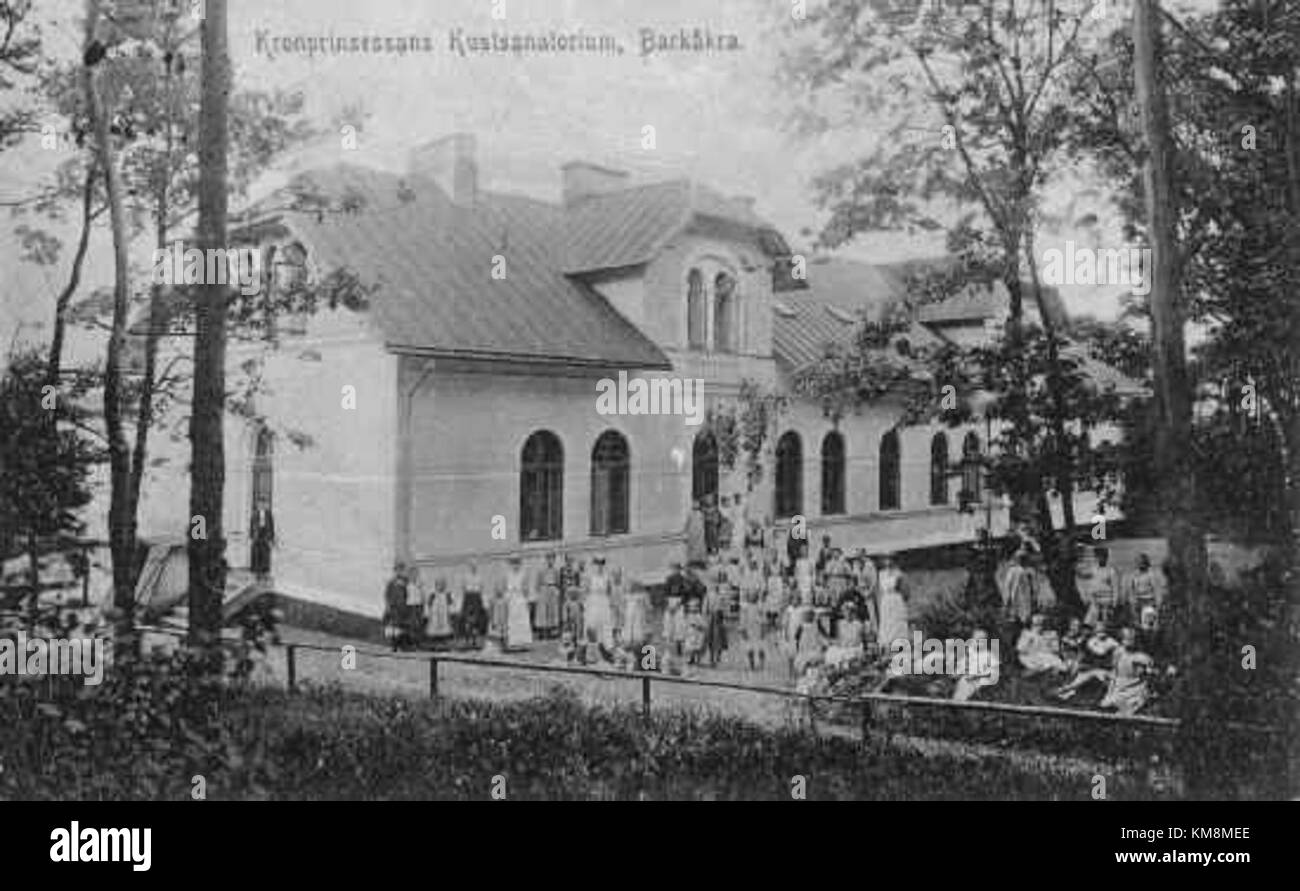 Il Sanatorio della principessa Vittoria in Svezia è un'istituzione storica per la salute e il benessere. È stato istituito come rifugio per la famiglia reale e gli individui di spicco, offrendo trattamenti terapeutici e un ambiente tranquillo. Foto Stock