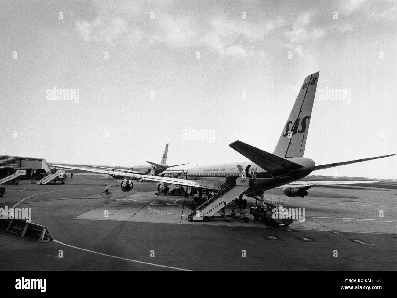 Il SAS DC 8 55 Harald Viking è un aereo a reazione che faceva parte della flotta di Scandinavian Airlines. L'aeromobile viene mostrato a terra, riflettendo la storia dell'aviazione della compagnia aerea. Foto Stock