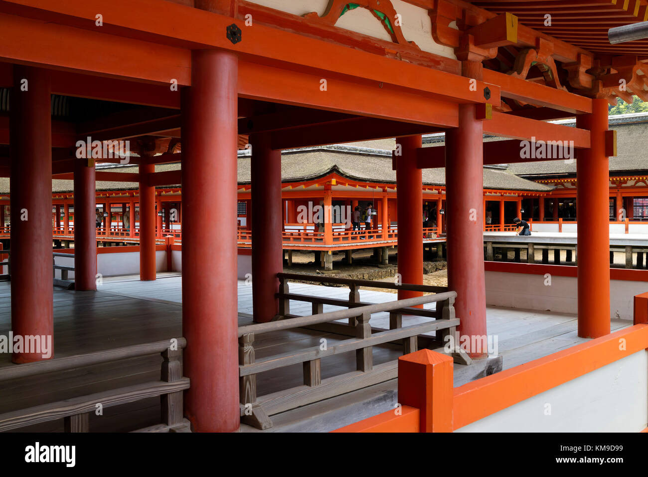Miyajima - Giappone, 26 maggio 2017: lunghi corridoi e colonne presso il famoso tempio di Itsukushima sull miyajima Foto Stock