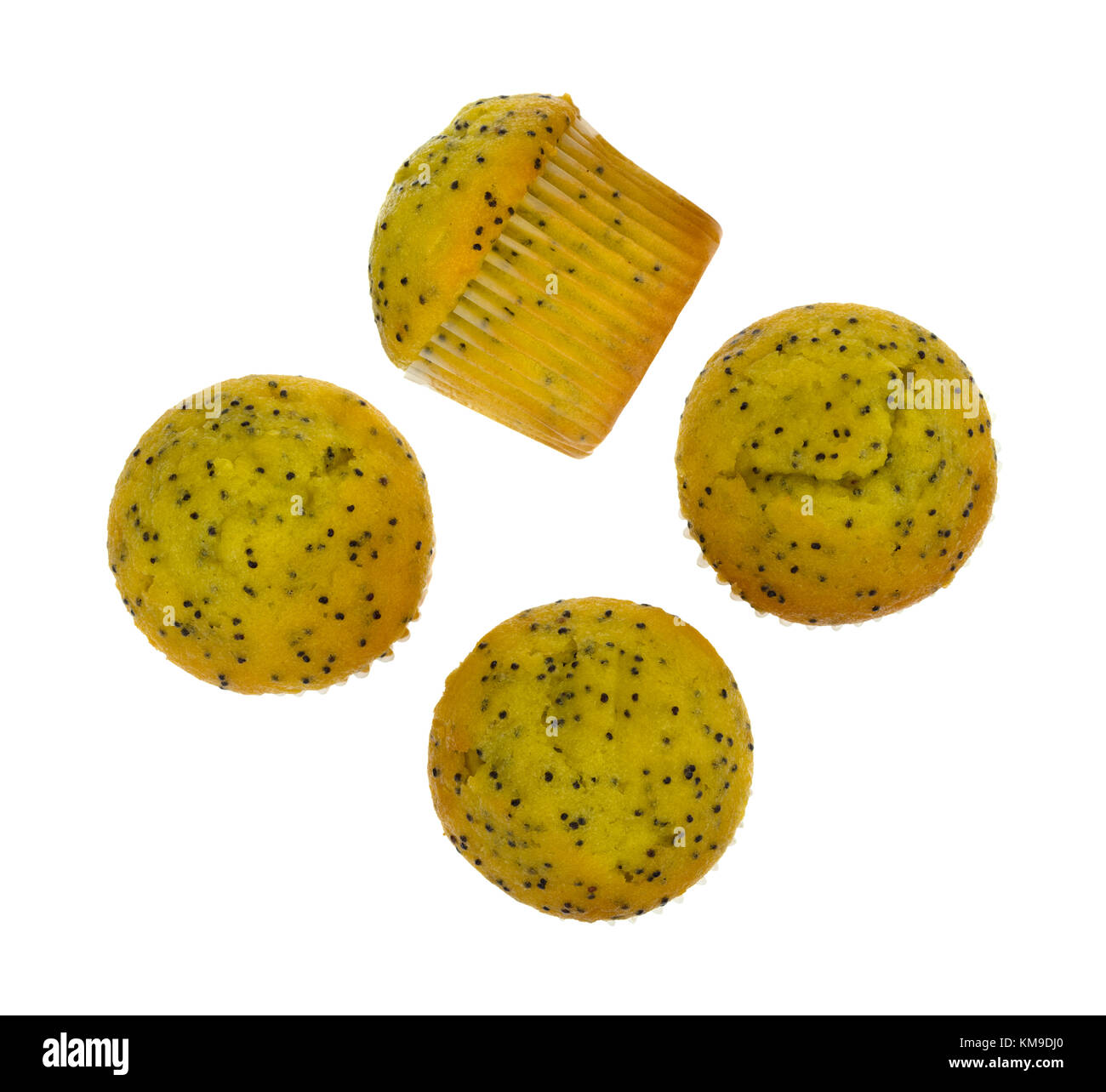 Vista superiore di diverse dimensioni del morso di limone semi di papavero muffin con uno sul suo lato isolato su uno sfondo bianco. Foto Stock