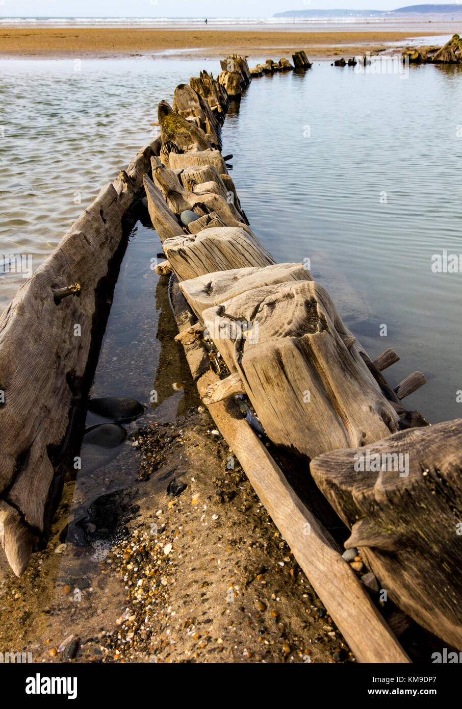 Pollaca Brigg, Close-up dettaglio del marciume travi in legno su un diciottesimo c Veliero relitto; Condino Devon, Inghilterra. Foto Stock