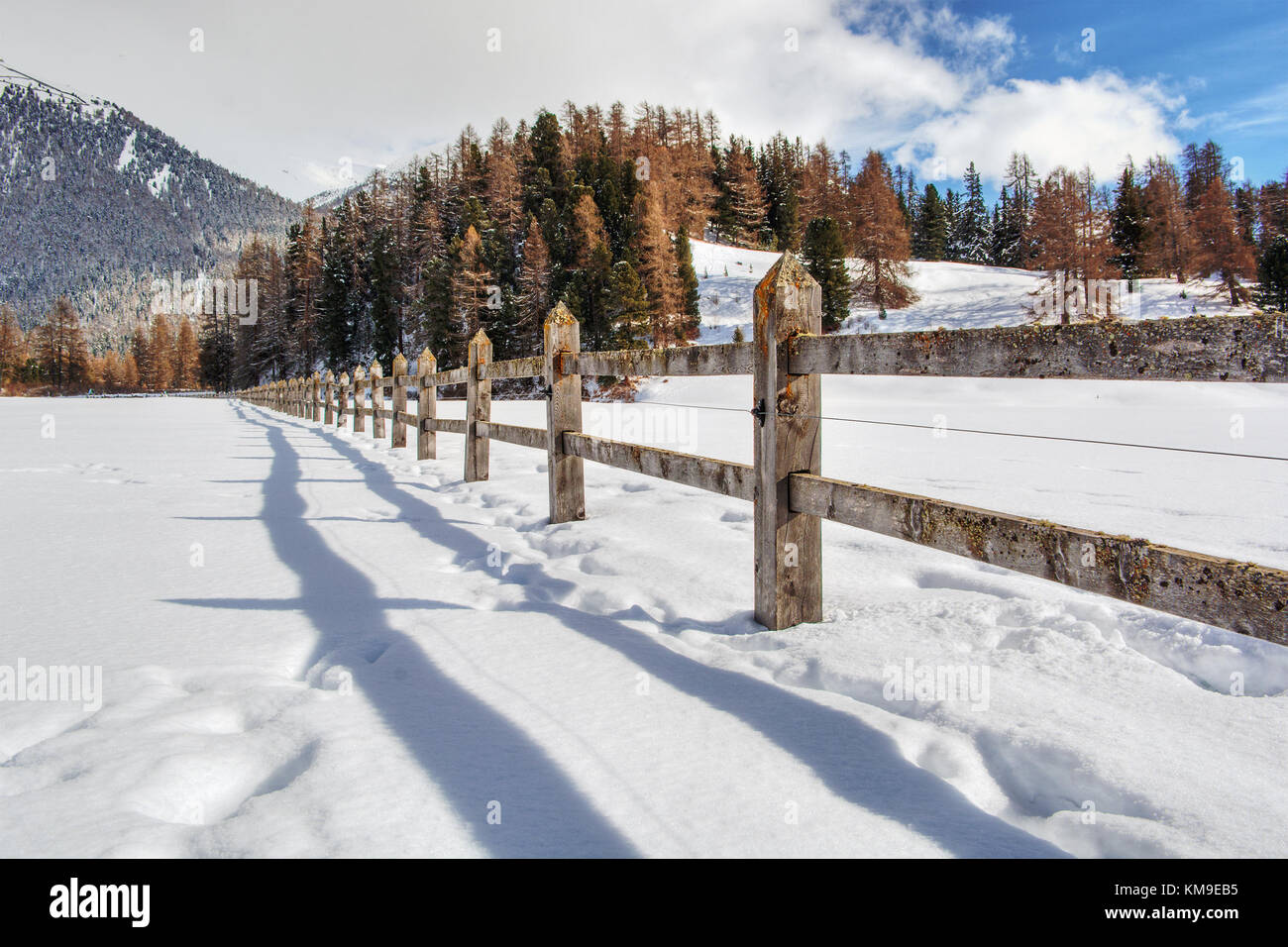 Rurali paesaggio invernale, Celerina, Grigioni, Svizzera Foto Stock