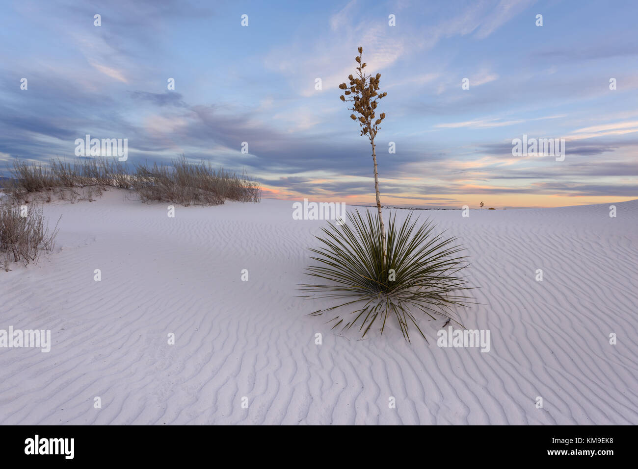 White Sands National Monument, Tularosa, New Mexico, Stati Uniti Foto Stock