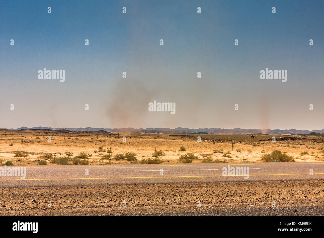 Turbini in una vallata desertica, Provincia di Riyadh, Arabia Saudita Foto Stock Turbini in una vallata desertica, Provincia di Riyadh, Arabia Saudita Foto Stock
