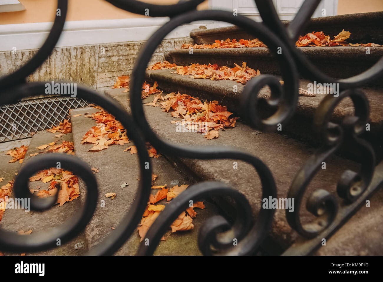 Foglie di autunno sui passi visto attraverso ringhiere in metallo Foto Stock