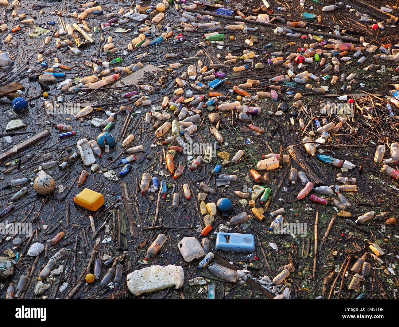 Massa galleggiante di plastica per la maggior parte non biodegradabile accumulo di rifiuti sul lungomare a Salford Quay, Manchester, Regno Unito Foto Stock