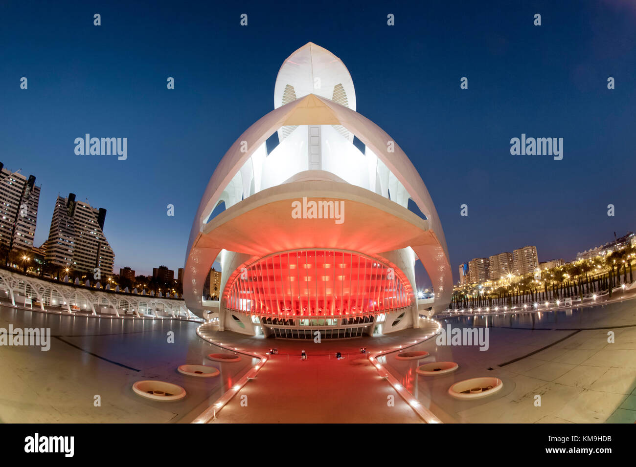 Il Palau de les Arts Reina Sofia dal Calatrava, , Valencia, Spagna Foto Stock