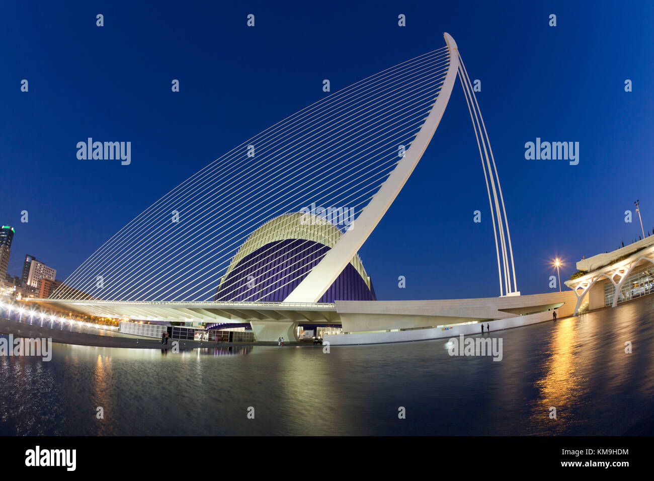 Agora, Puente de l Assut, bridge, Città delle Scienze, Calatrava, Valencia, Spagna Foto Stock