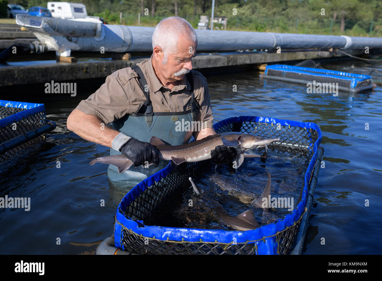 Un pescatore locale pescare un pesce Foto Stock