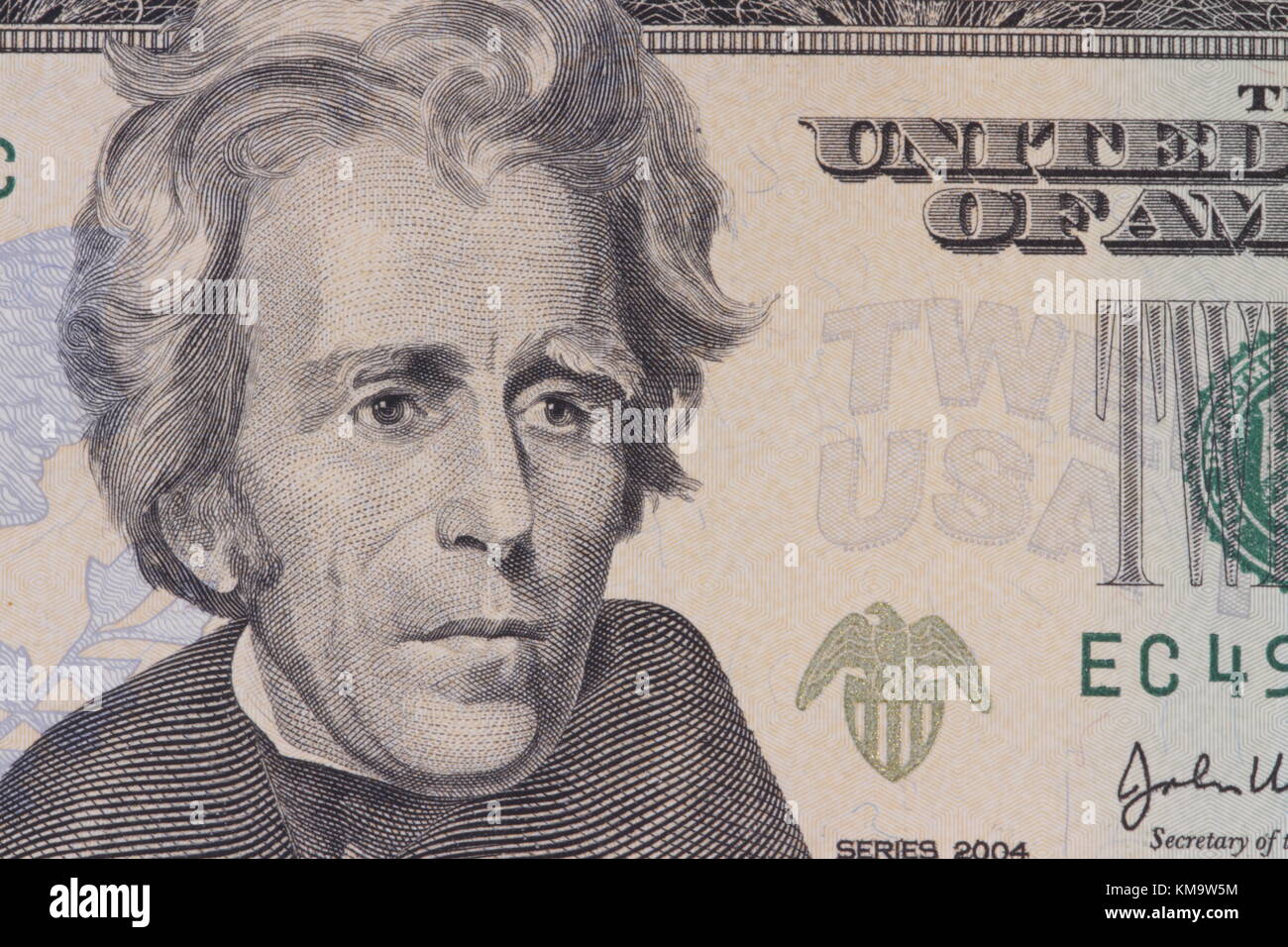 Ritratto del presidente americano jackson su fatture del dollaro close-up Foto Stock