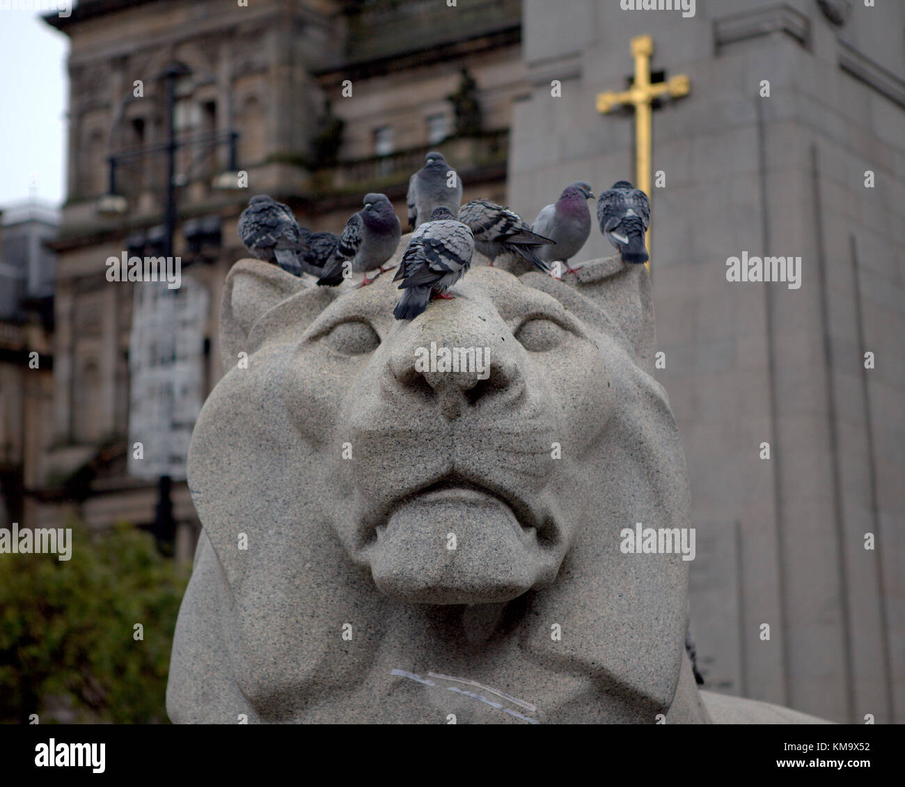 George Square e il cenotafio lion il simbolo dell'impero disrespected da piccioni Foto Stock