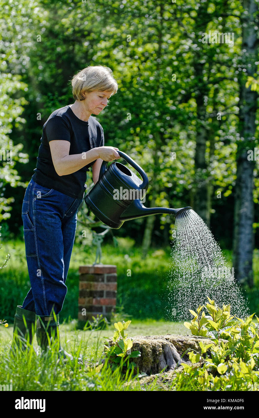 Donna che lavorano nel suo giardino in estate Foto Stock