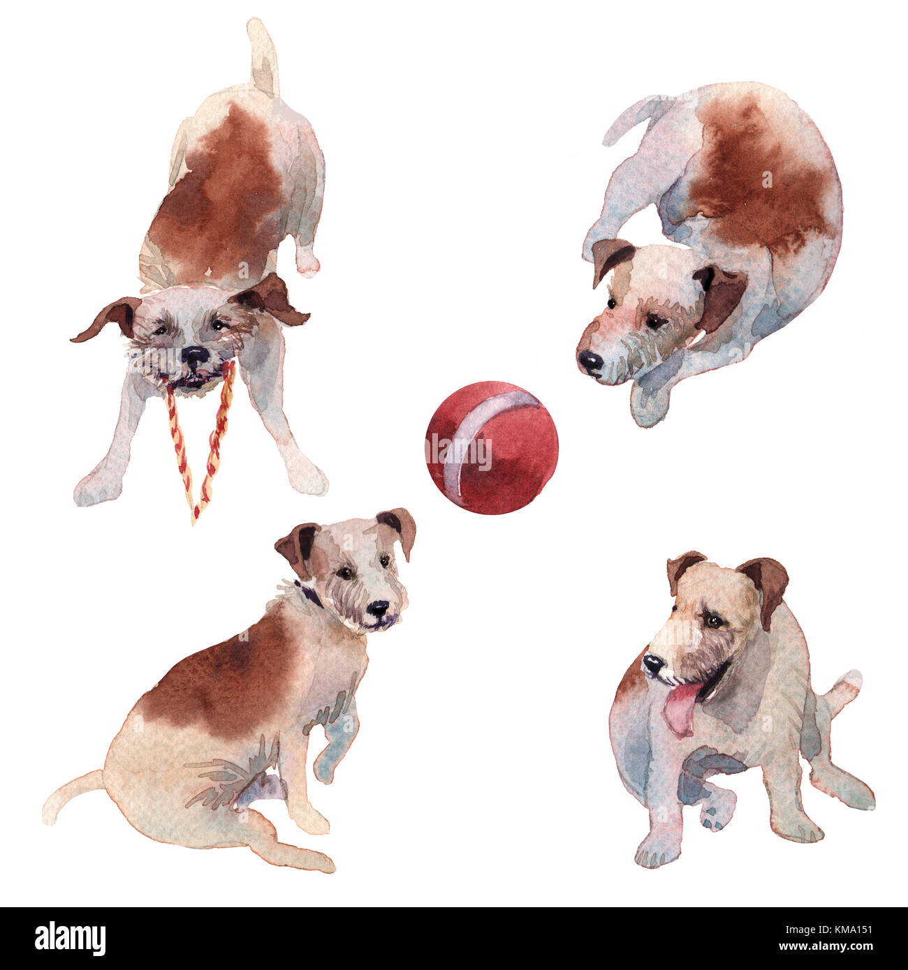 Tazza Regalo Con Bull Terrier Inglese - Acquerello Colorato, 311 Ml, Perfetta Per Compleanno E Natale - 6