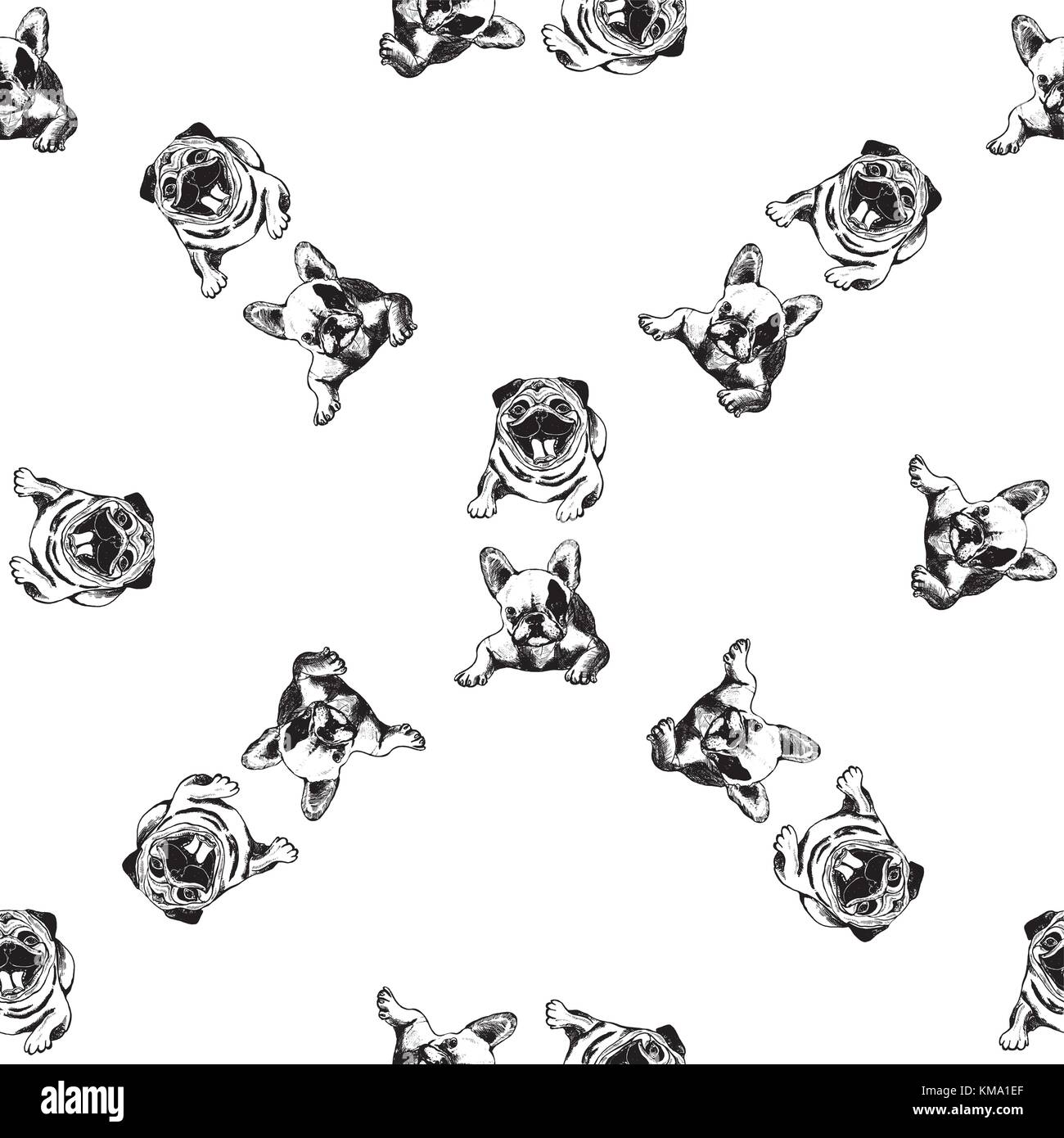 Modello senza giunture di mano il bozzetto style bulldogs e pugs. illustrazione vettoriale isolati su sfondo bianco. Illustrazione Vettoriale