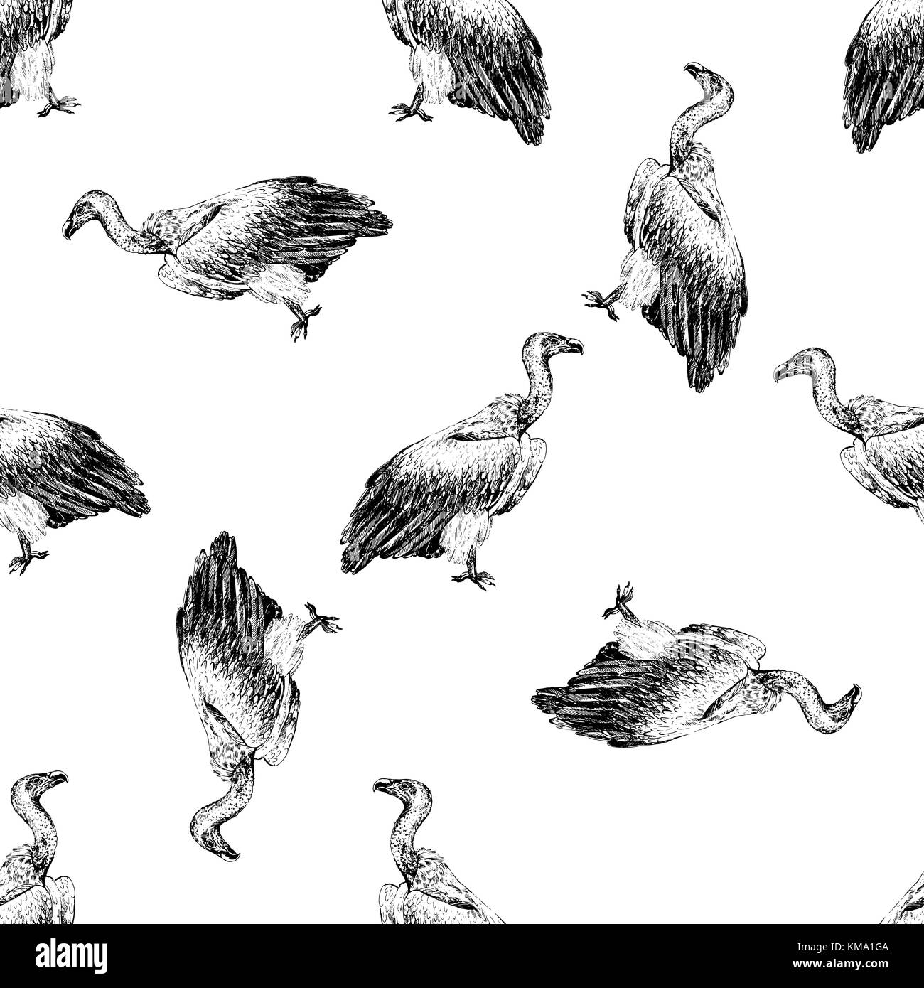 Modello senza giunture di mano il bozzetto stile africano avvoltoio. illustrazione vettoriale isolati su sfondo bianco. Illustrazione Vettoriale