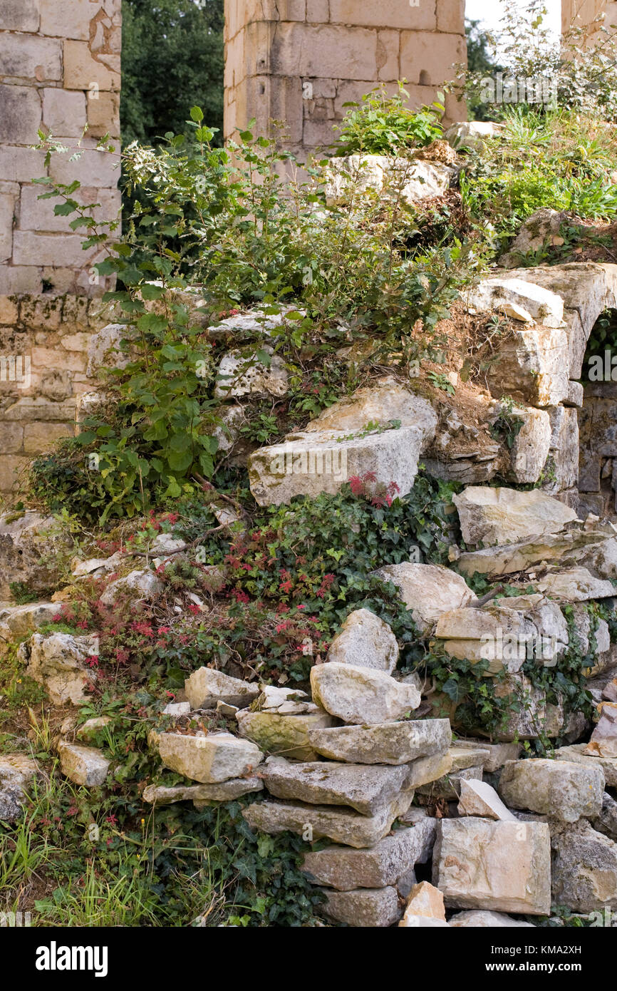Edificio rovinato essendo recuperato dalla natura. Foto Stock