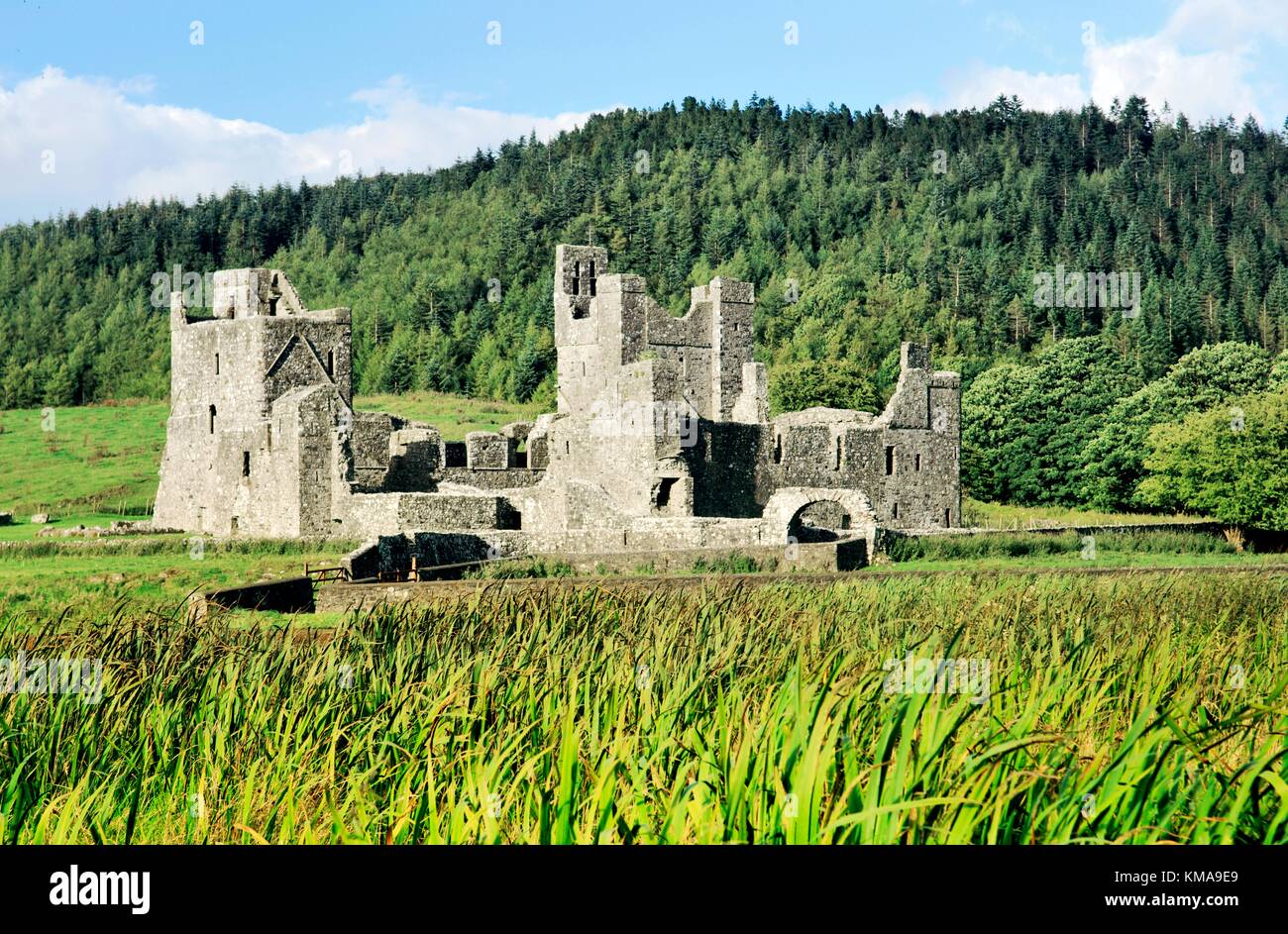 Fore Abbey, contea Westmeath, Irlanda. Monastero benedettino. Fondazione religiosa di San Feichin risale a circa 630 D.C.. Foto Stock