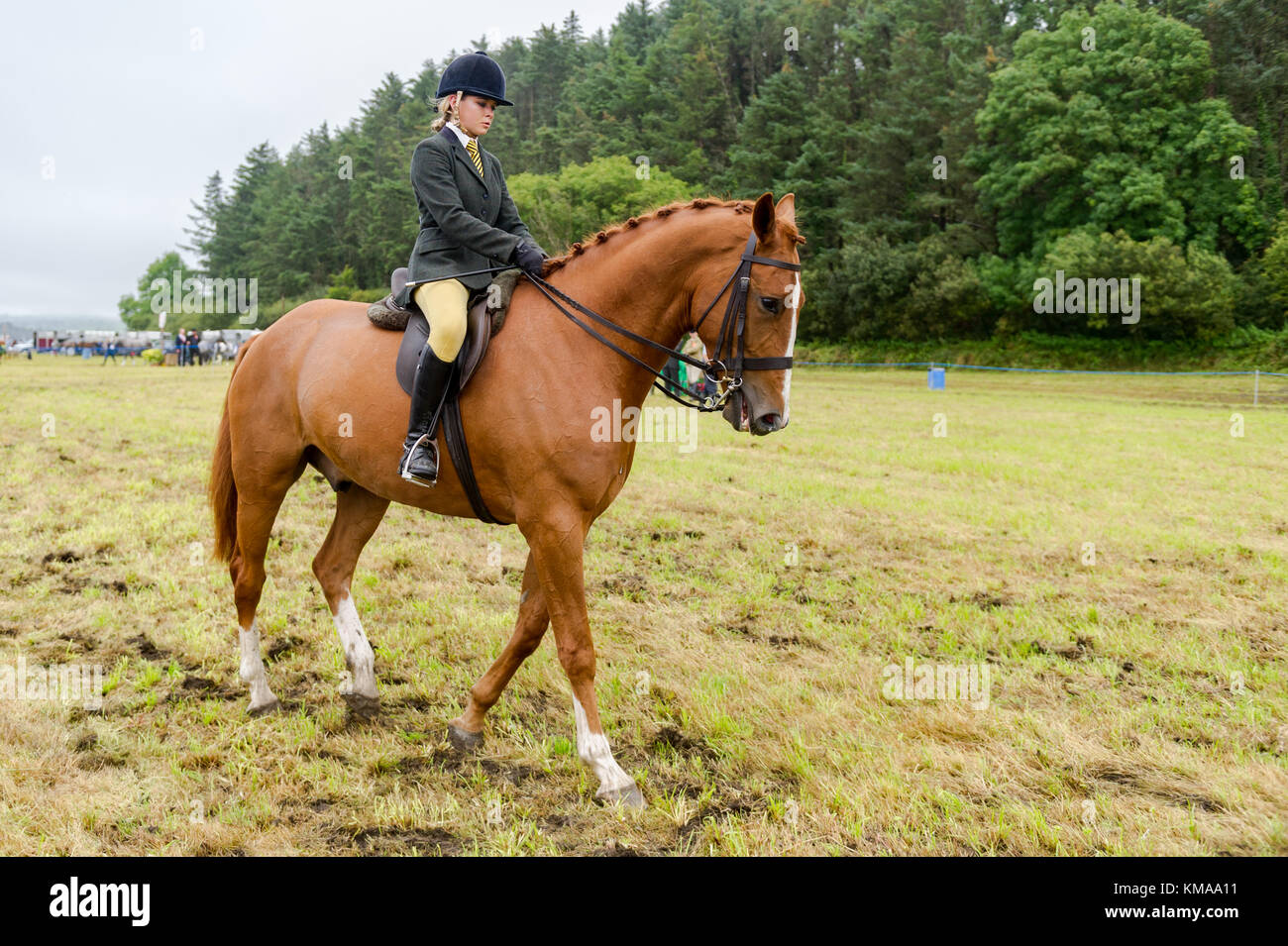 Femmina giovane cavaliere a cavallo del suo cavallo in concorrenza a Bantry spettacolo agricolo, Bantry, County Cork, Irlanda con copia spazio. Foto Stock