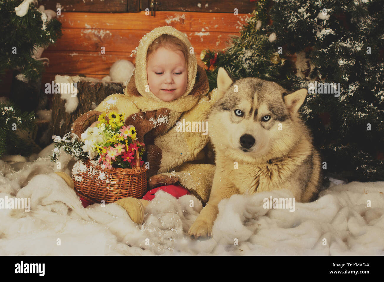 Una bambina, abbracciando un cane di razza del nord. un'artificiale interno della foresta di inverno Foto Stock