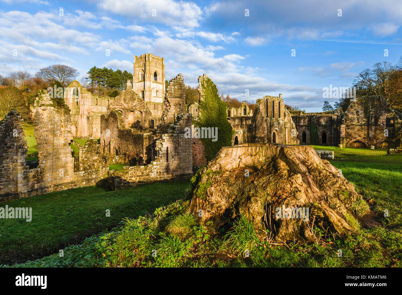 Le rovine dell'Abbazia di Fountains in una bella mattina di autunno come osservata attraverso il fiume Skell vicino a Ripon, nello Yorkshire, Regno Unito. Foto Stock