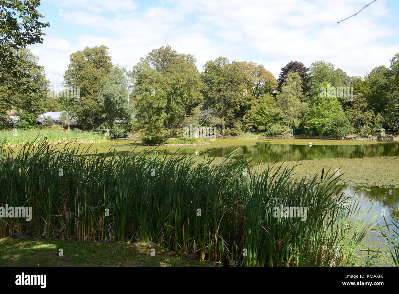 Giornata romantica sul lago nel lato Park di New York Foto Stock