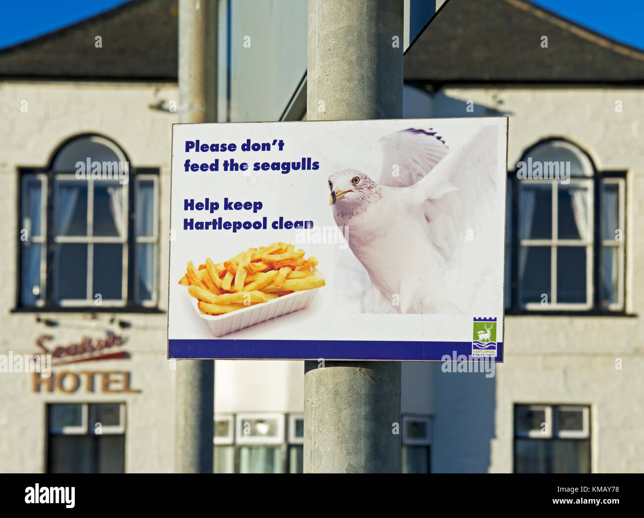 Avviso - non alimentare i gabbiani - Seaton Carew, County Durham, England Regno Unito Foto Stock