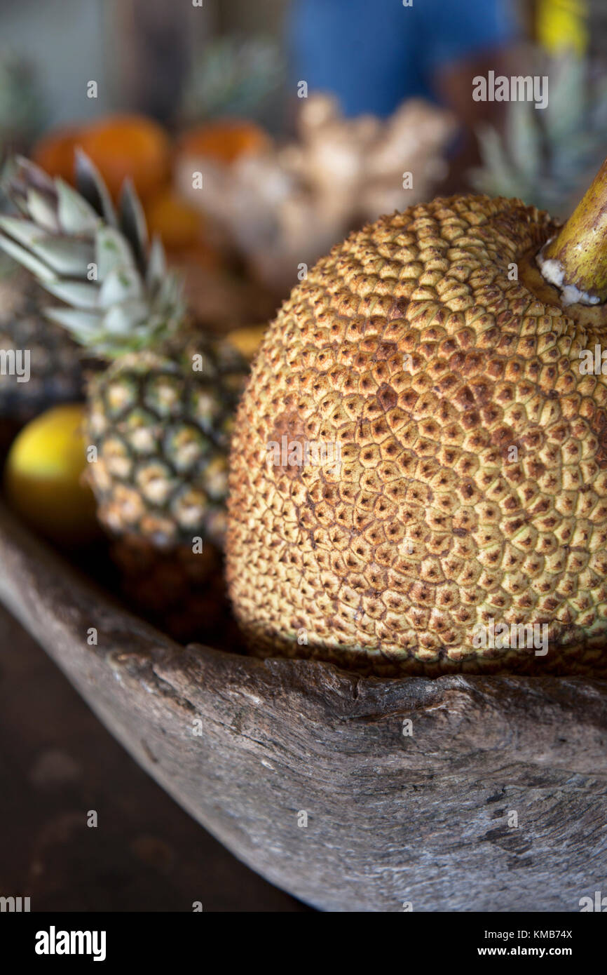 Jaca, o Jackfruit, nativo di India del Sud, è un cibo di graffa nello stato brasiliano di Bahia dove era stato portato dai Portoghesi nel XVII secolo Foto Stock