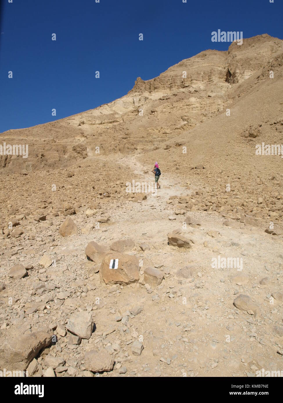 Un escursionismo bambino in salita una montagna Foto Stock