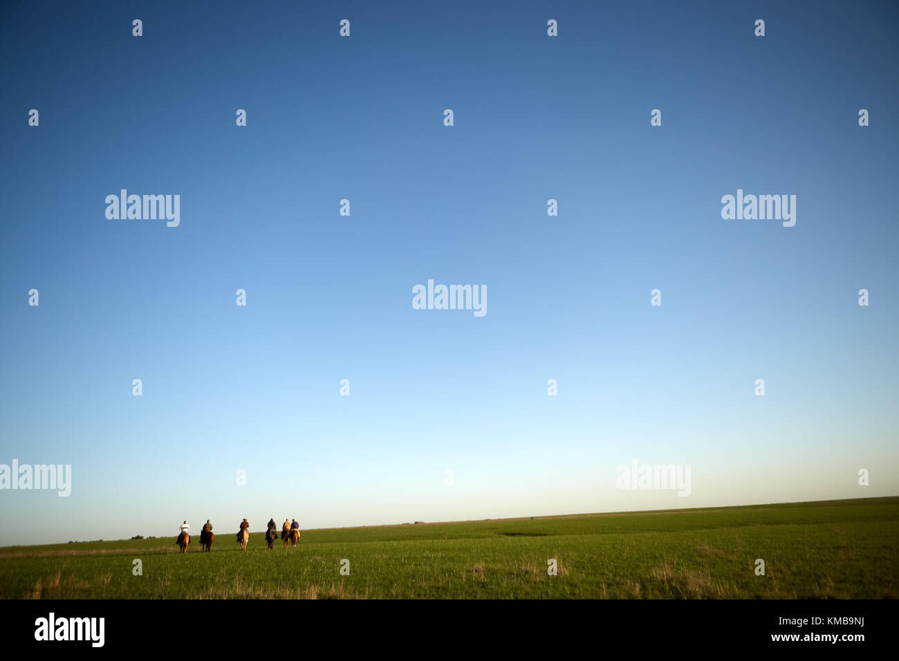 Gruppo di cowboy a cavallo attraverso i pascoli verdi su una gamma di grandi dimensioni con spazio copia e vignette al tramonto con un bagliore all'orizzonte Foto Stock